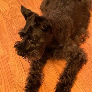 Meet your Posher, Brandie